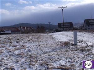 photo_4
