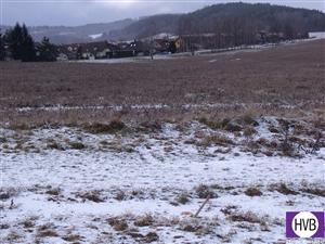photo_8