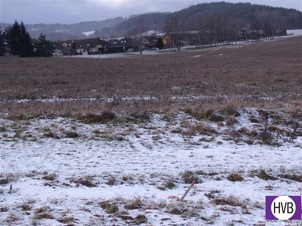 photo_8