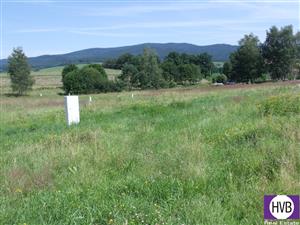 photo_6