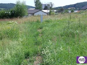 photo_8