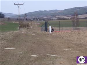 photo_9