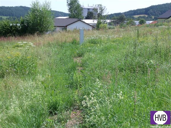 photo_8