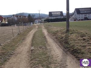 photo_5
