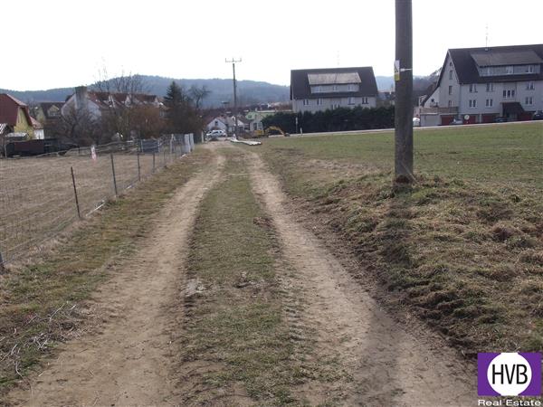 photo_5