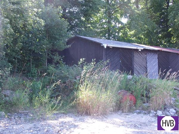 photo_3