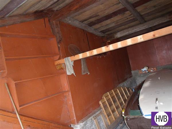 photo_7