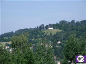 photo_4