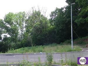 photo_7