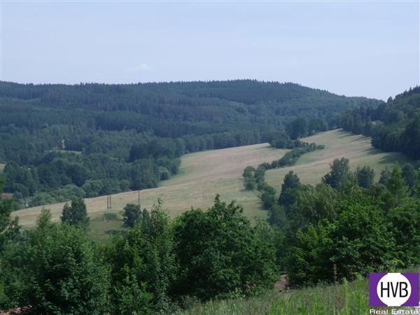 photo_6