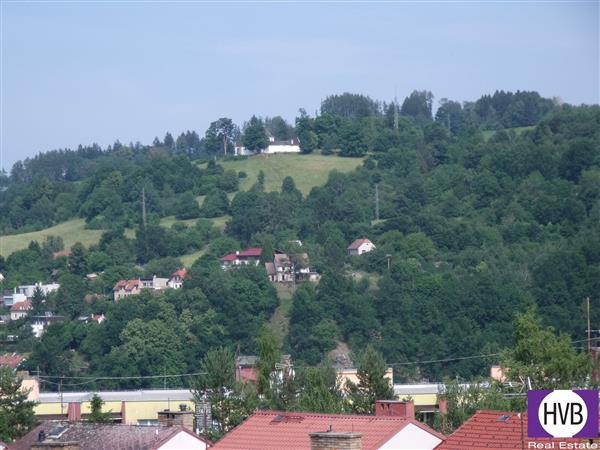 photo_7
