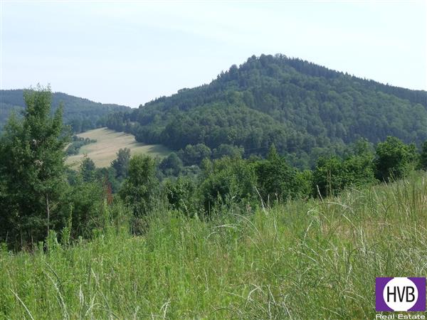 photo_8