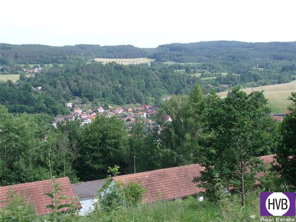 photo_12