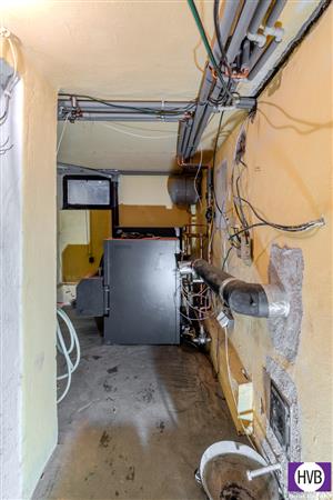 photo_11