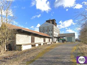 photo_4