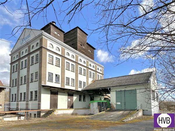 photo_3