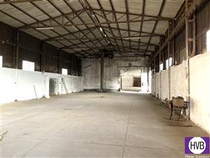 photo_5