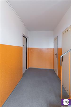 photo_6