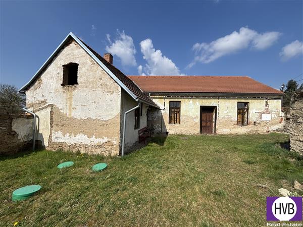 photo_1