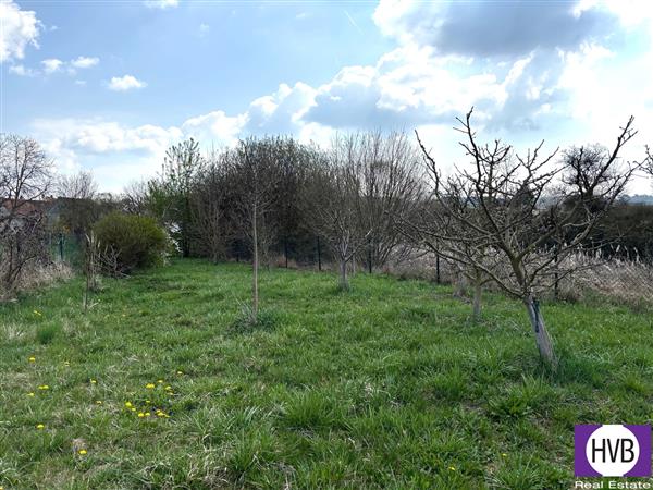 photo_14