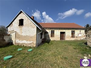 photo_1