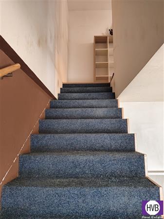 photo_15