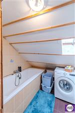 photo_6