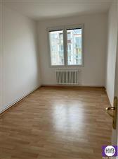 photo_6