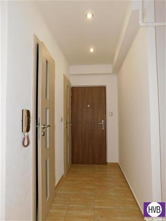 photo_19