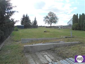 photo_5