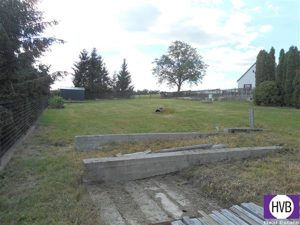 photo_5