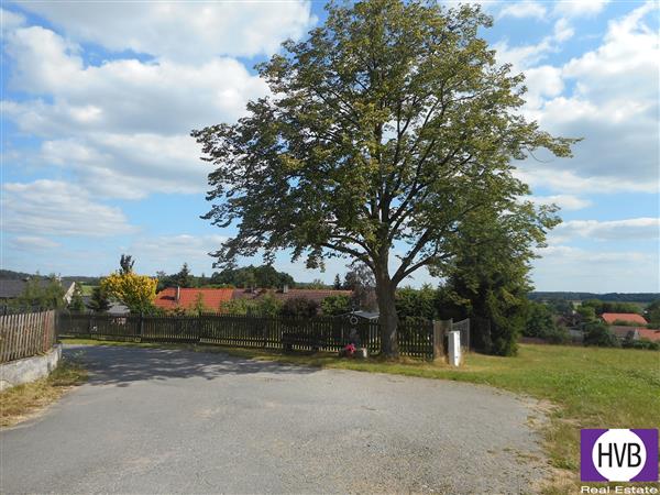 photo_6