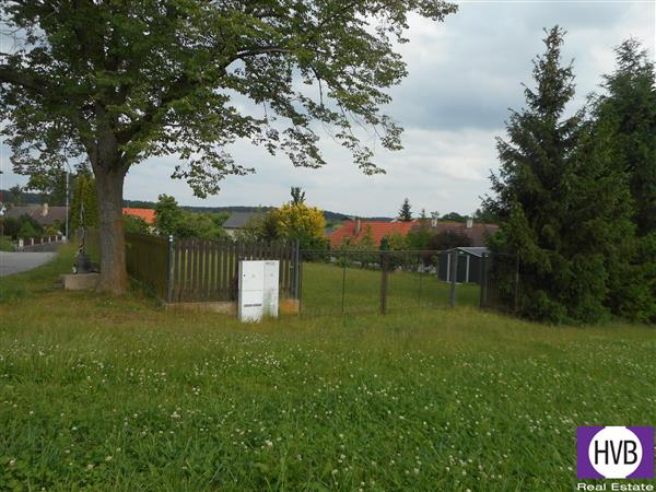 photo_7