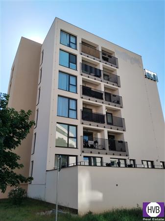 photo_15