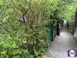 photo_8