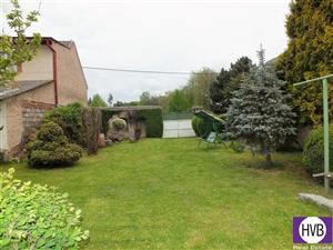 photo_6