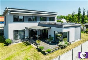 photo_1
