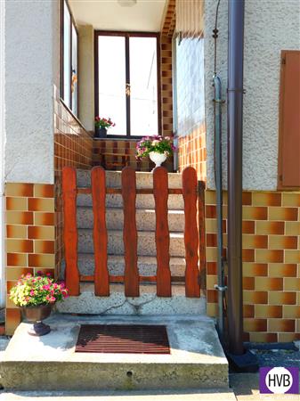 photo_19
