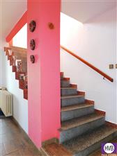 photo_10
