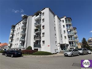 photo_1