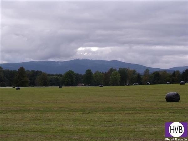 photo_4