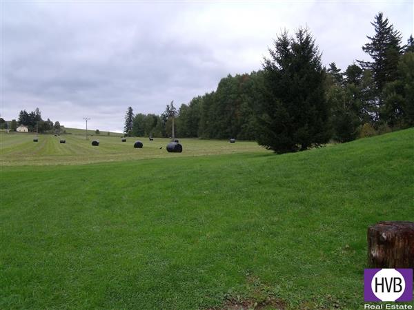 photo_8