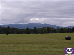 photo_4
