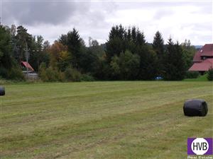 photo_7