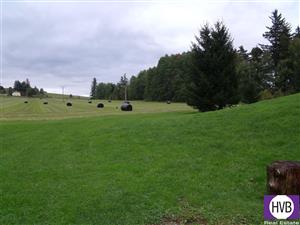 photo_8