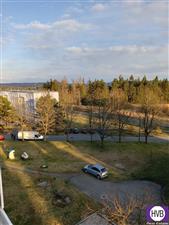 photo_8