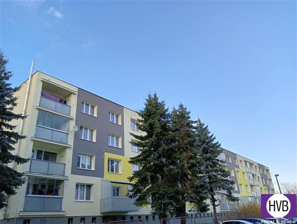photo_15