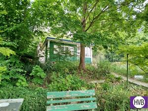 photo_4