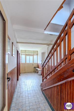 photo_11