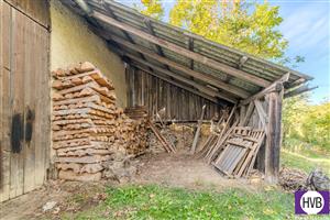 photo_4